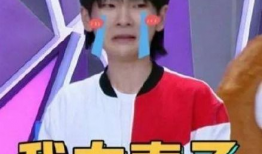 娱乐吃瓜君秦霄贤,娱乐吃瓜界的风云人物