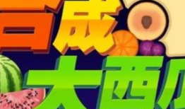 51每日必吃娱乐大瓜热门,揭秘娱乐圈最新热点事件