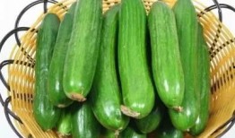 五一吃瓜今日必吃大瓜网黄,揭秘今日必吃大瓜网黄风云