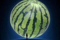 坐等吃瓜是什么意思