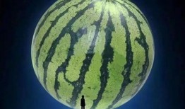 坐等吃瓜是什么意思