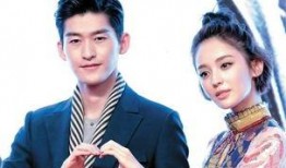 吃瓜娱乐圈情感,娱乐圈瓜田情感风云录